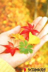 にほんブログ村 ライフスタイルブログへ