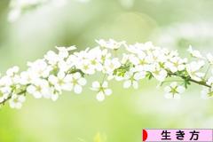 にほんブログ村 ライフスタイルブログ 生き方へ