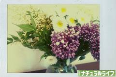 にほんブログ村 ライフスタイルブログ ナチュラルライフへ