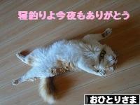 にほんブログ村 ライフスタイルブログ おひとりさまへ