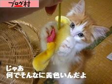 にほんブログ村 ライフスタイルブログ おひとりさまへ