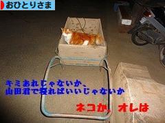 にほんブログ村 ライフスタイルブログ おひとりさまへ