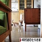 にほんブログ村 ライフスタイルブログ ４０代おひとりさまへ