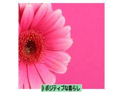 にほんブログ村 ライフスタイルブログ ポジティブな暮らしへ