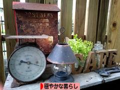 にほんブログ村 ライフスタイルブログ 穏やかな暮らしへ