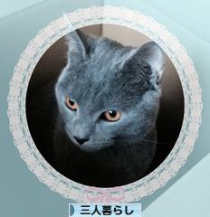 にほんブログ村 ライフスタイルブログ 三人暮らしへ