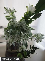 にほんブログ村 ライフスタイルブログ シンプルライフ（プロ・アドバイザー）へ