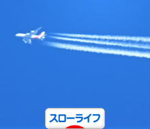 にほんブログ村 ライフスタイルブログ スローライフへ