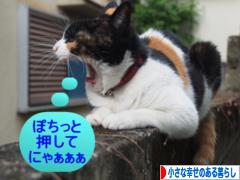 にほんブログ村 ライフスタイルブログ 小さな幸せのある暮らしへ