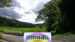 にほんブログ村 ライフスタイルブログ 小さな幸せのある暮らしへ