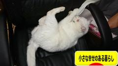 にほんブログ村 ライフスタイルブログ 小さな幸せのある暮らしへ