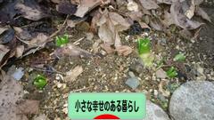 にほんブログ村 ライフスタイルブログ 小さな幸せのある暮らしへ