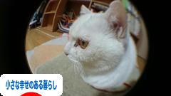 にほんブログ村 ライフスタイルブログ 小さな幸せのある暮らしへ