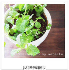 にほんブログ村 ライフスタイルブログ ささやかな暮らしへ