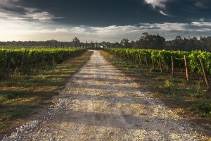 country-l640