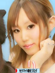 にほんブログ村 セクマイ・嗜好ブログへ