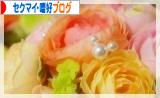 にほんブログ村 セクマイ・嗜好ブログへ