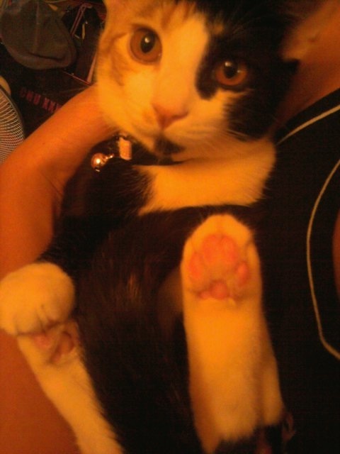 o0480064011810292338[1]