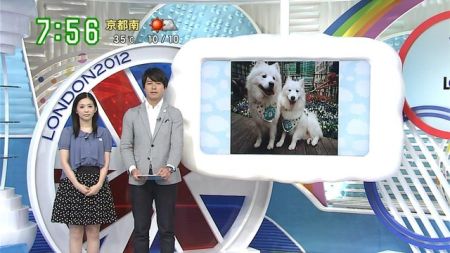 人気兄弟犬zippeiの急死が原因で日テレの Zip に打ち切りの可能性が浮上 Room Of News