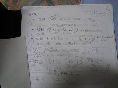 BlogPaint