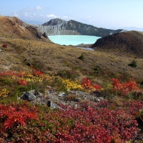 kusatuonsenkanamidori