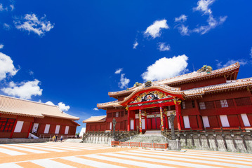 458252_c782579871a84644bde394c2b9c7ed82~mv2_d_2000_1335_s_2