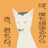 ネコ