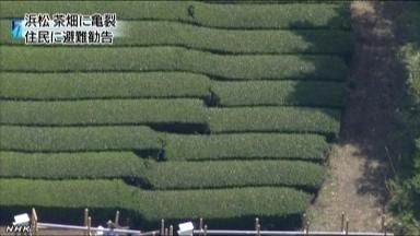 saved_quote_image_182642