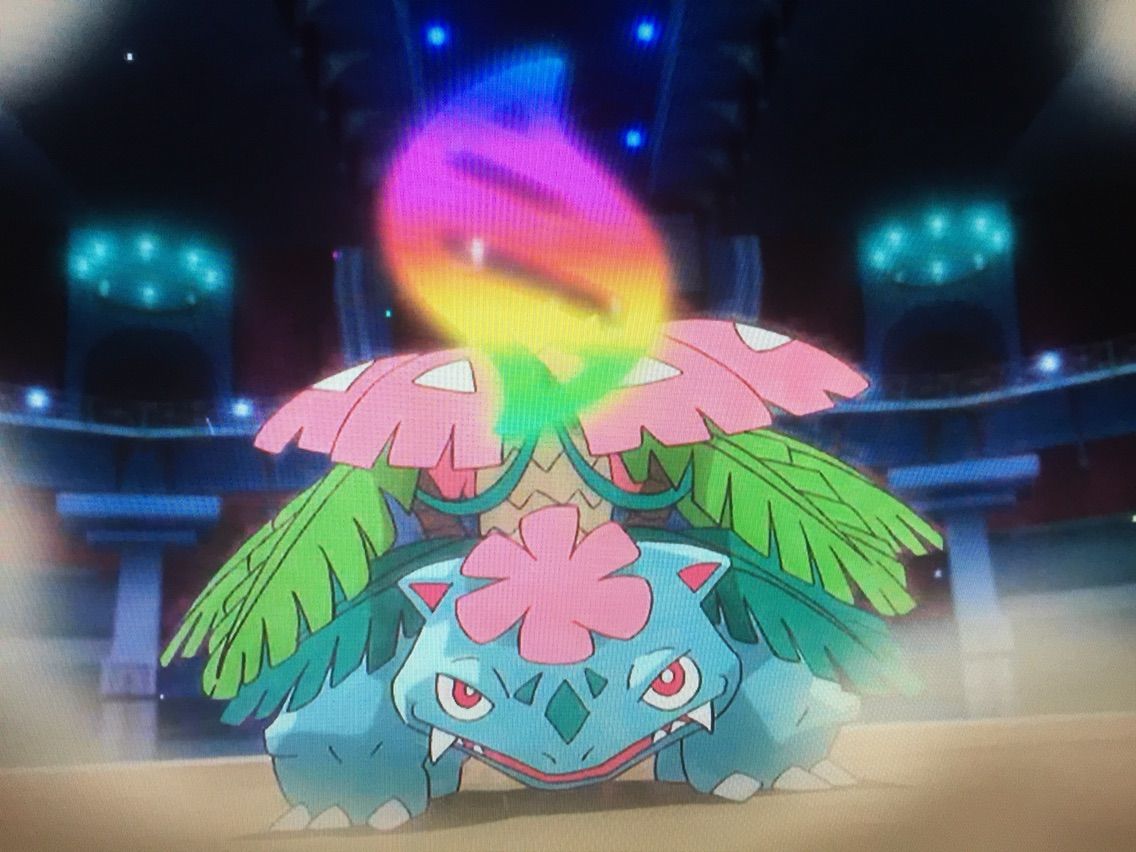 元の画像を表示 メガシンカ に対する画像結果