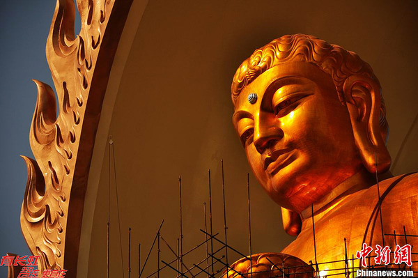 U86P4T426D155535F16470DT20121211170644