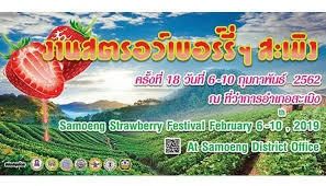 サム―ンストロベリーフェスティバル2019