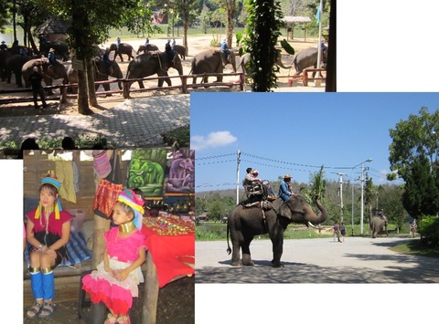 エレファント+首長族村1日ツアー写真