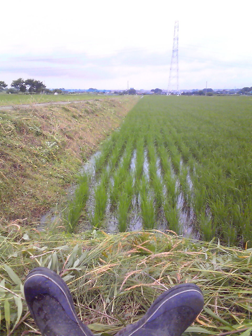 201106161305000