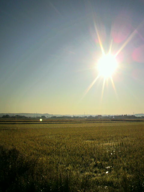 2011121008200000
