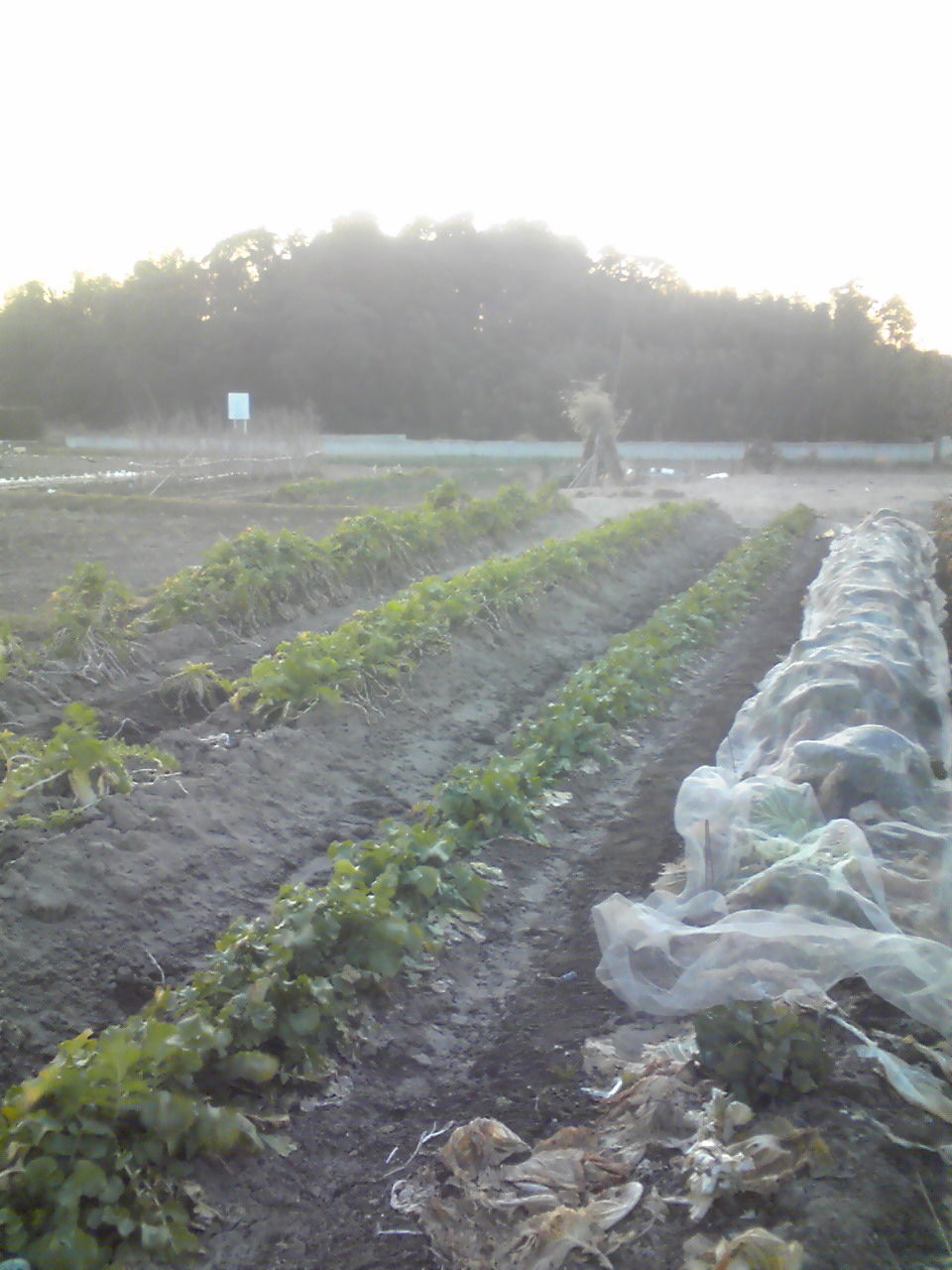 201201291705000