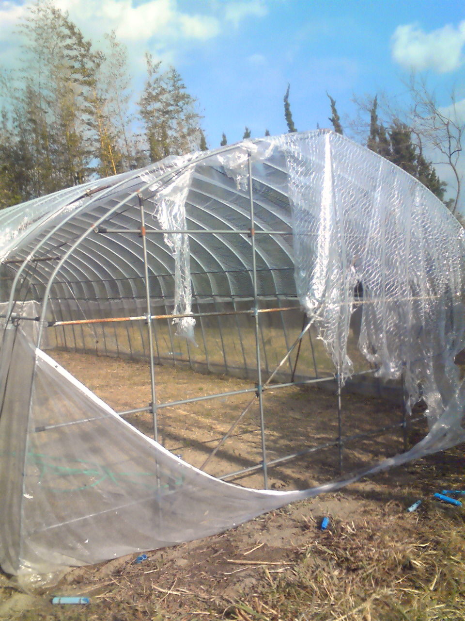 201204041545000_0001