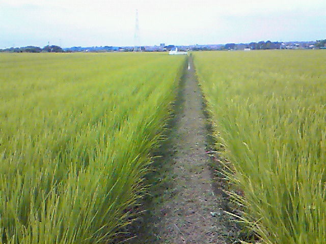 201107271445000