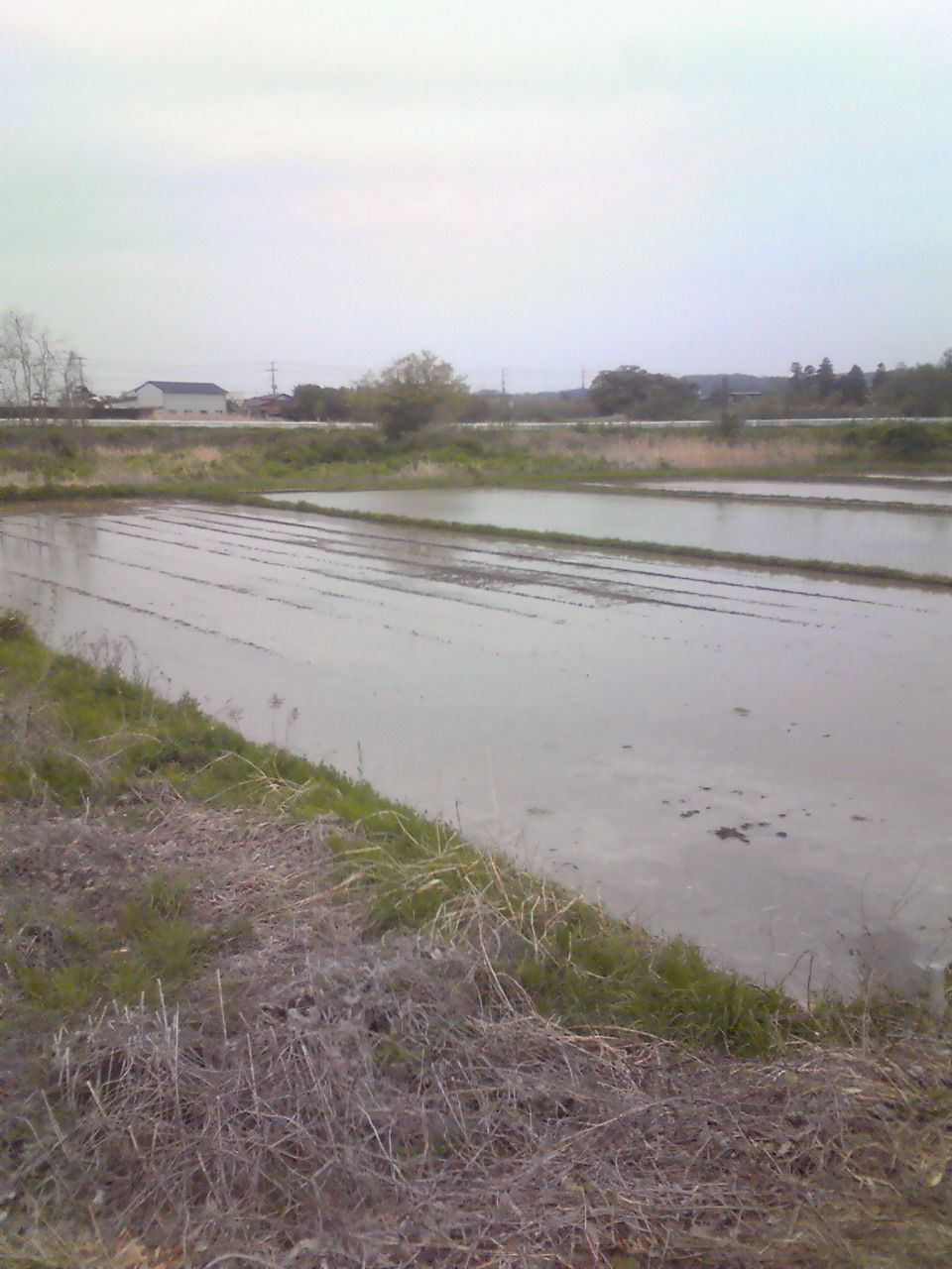 201204251645000