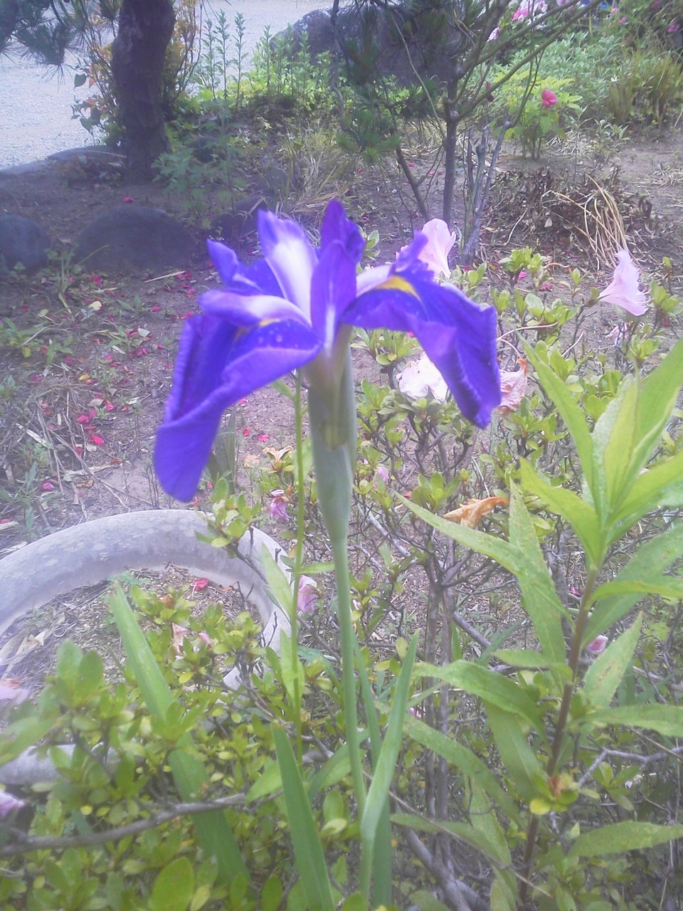 2014060509230000