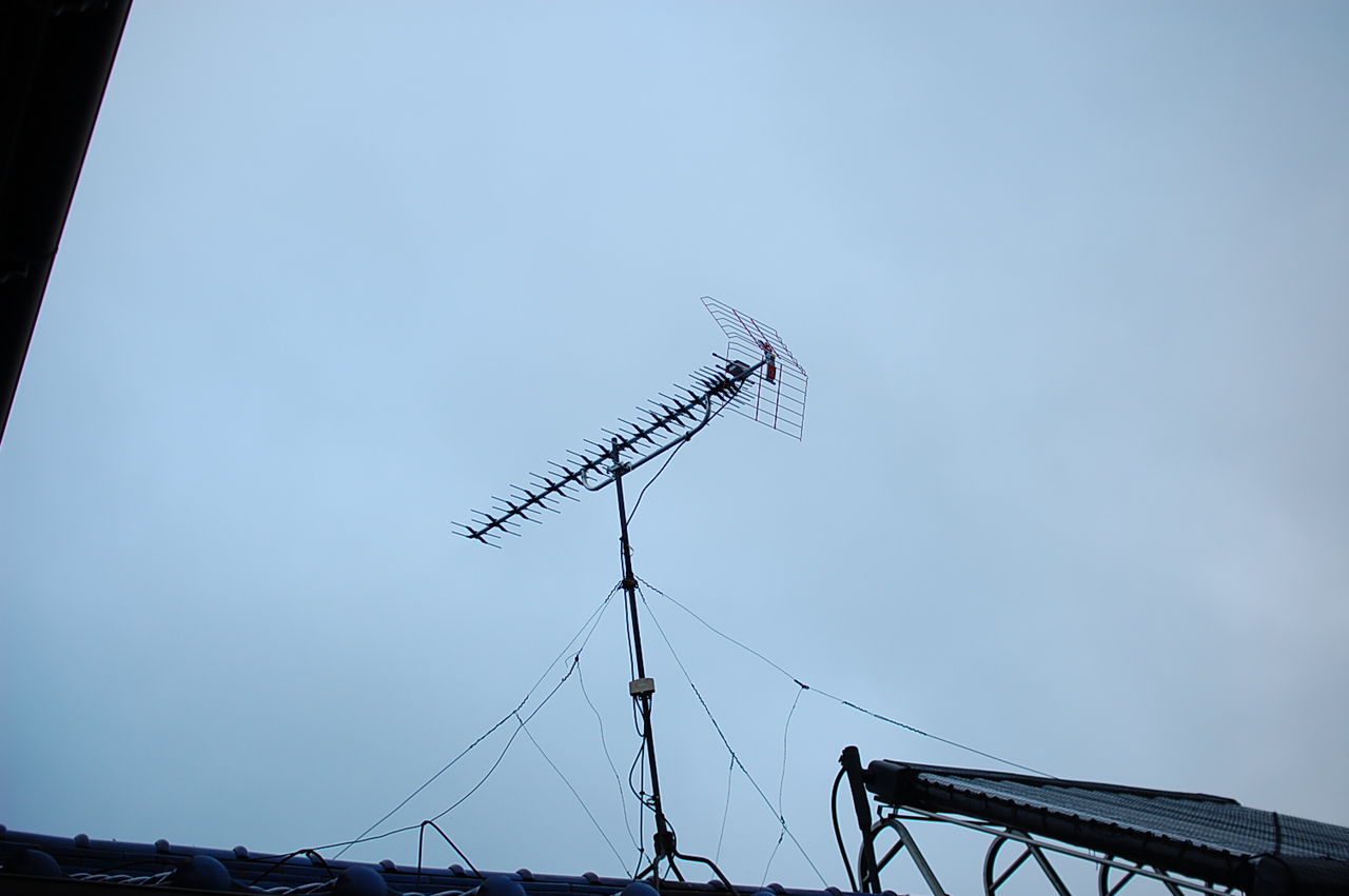 DSC_0004 (2)