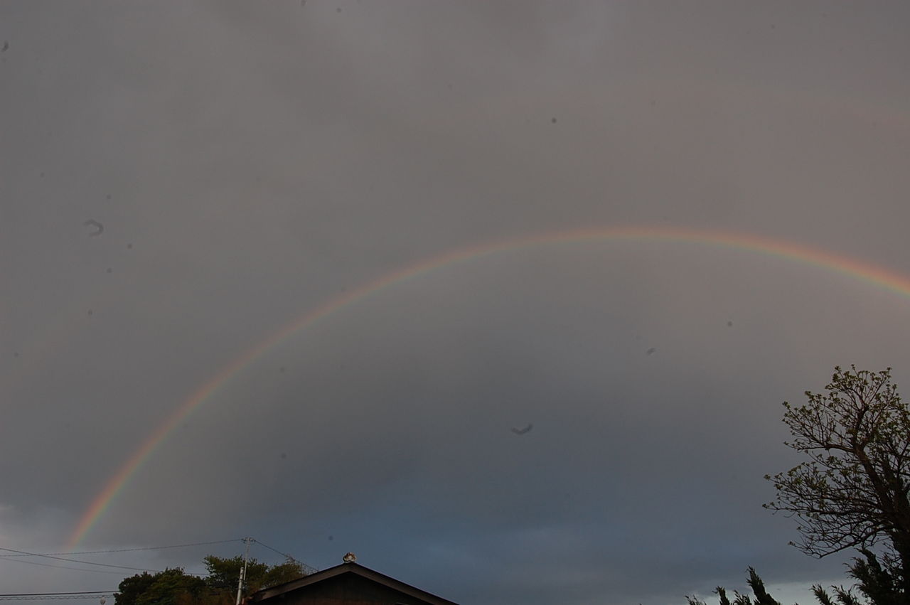 DSC_0027