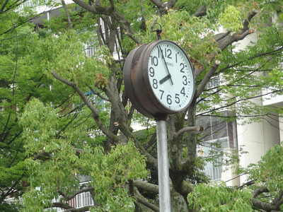 DSC04568