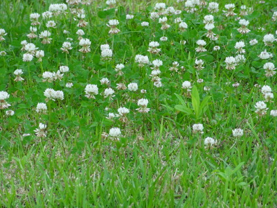 DSC04556