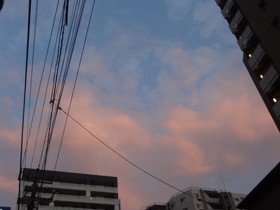 DSC04604