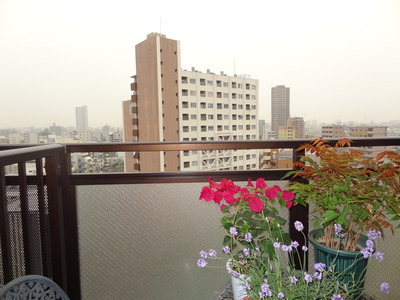 DSC04607