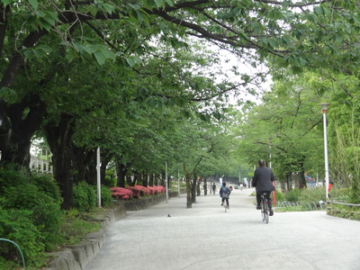 DSC04567