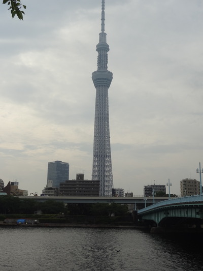 DSC04565