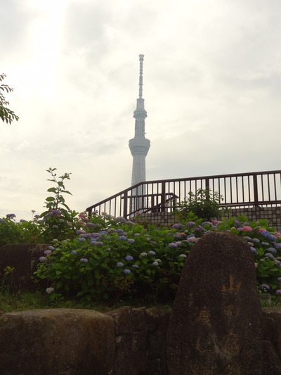 DSC04577