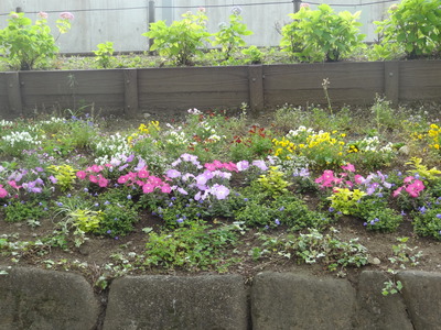 DSC04569