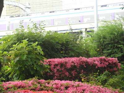 DSC04573